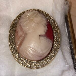BEAUTIFUL LARGE MARKED RESIN CAMEO BROOCH.  RARE CAMEO BROOCH